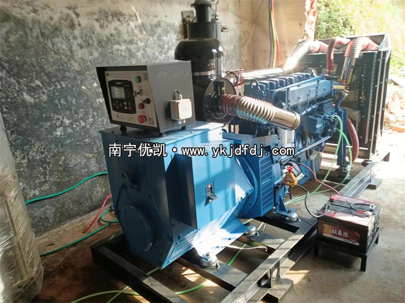 2024年3月5日，200kw濰坊雷納發(fā)電機組某學校到貨安裝